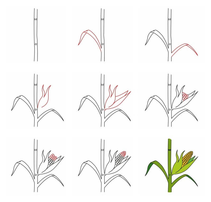 How to draw Corn idea (16)