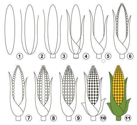 How to draw Corn idea (5)