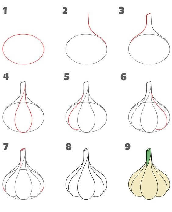 How to draw Garlic idea (2)