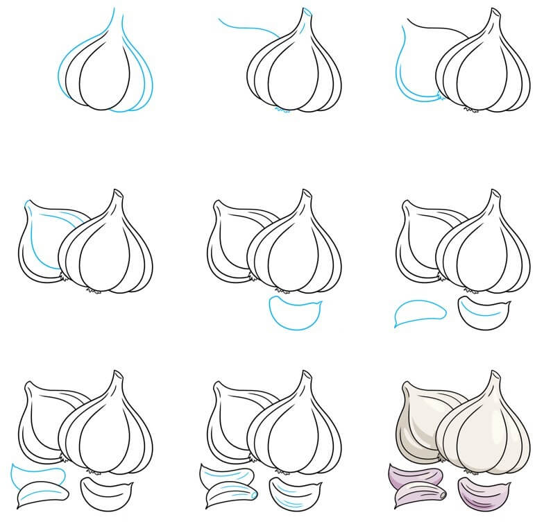 Garlic Drawing Ideas