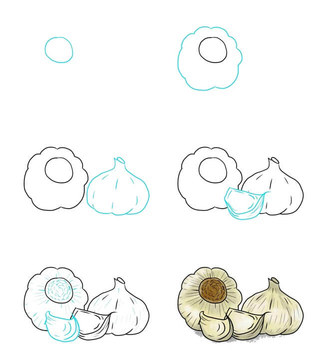 How to draw Garlic idea (5)