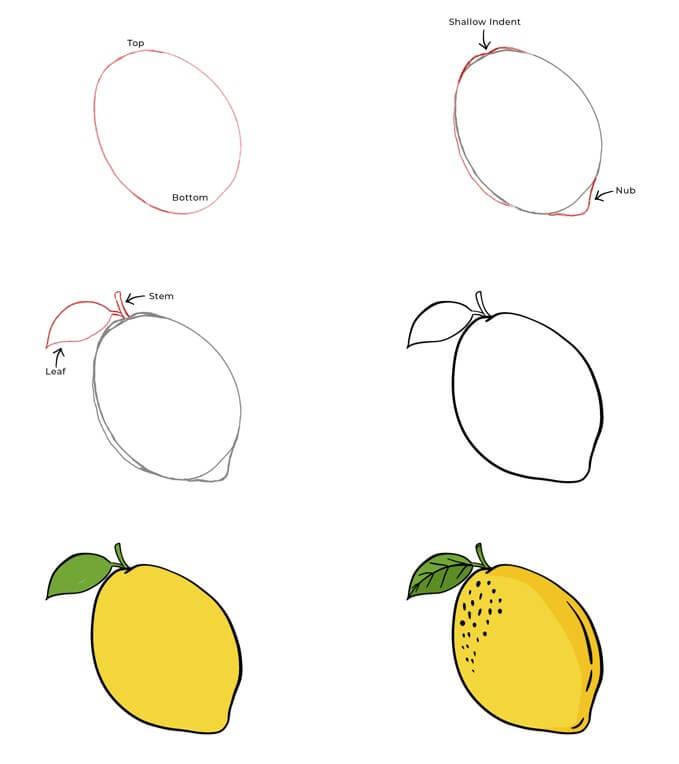 Lemon idea (16) Drawing Ideas