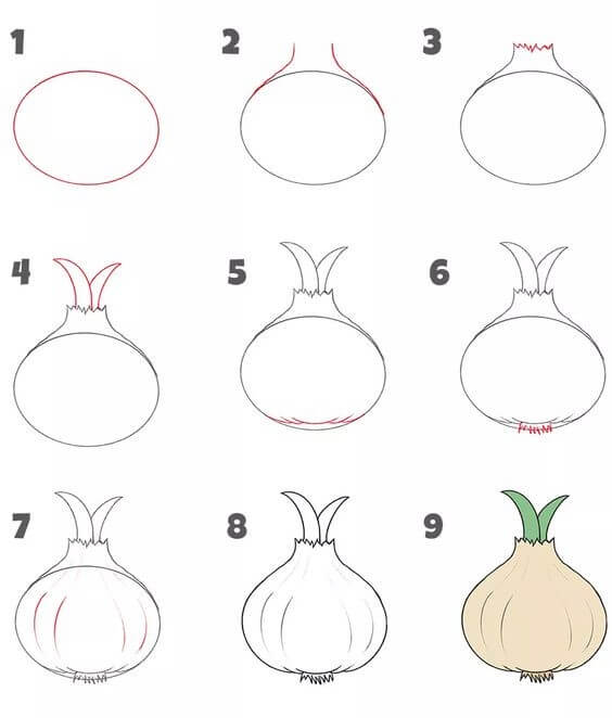 How to draw Onion idea (4)