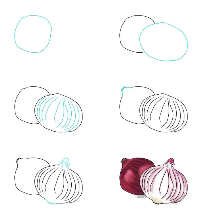 Onion idea (6) Drawing Ideas