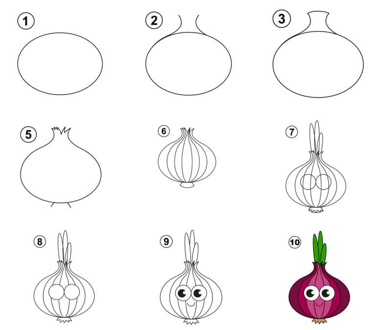 Onion Drawing Ideas