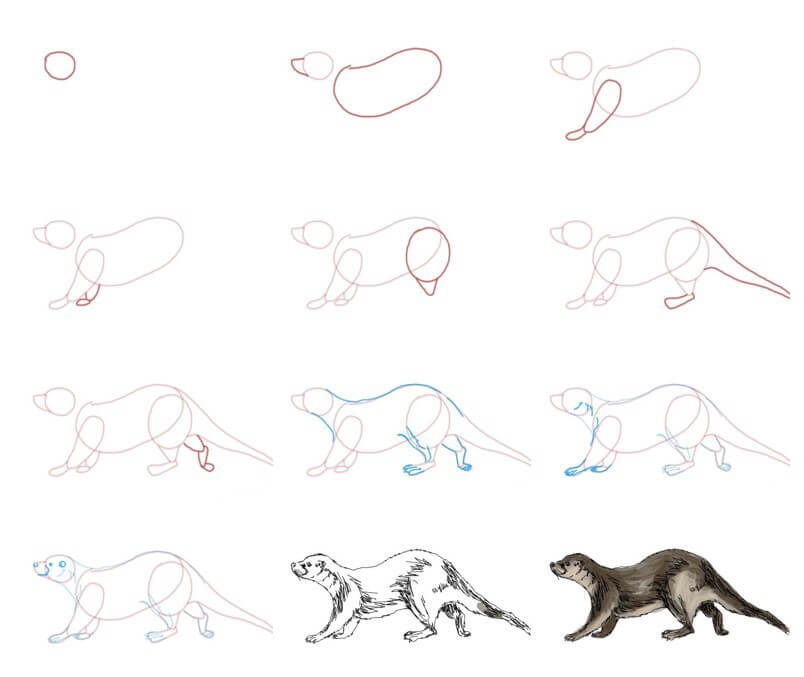 Otter idea (12) Drawing Ideas