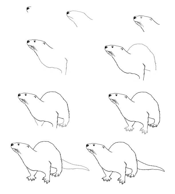 How to draw Otter idea (3)