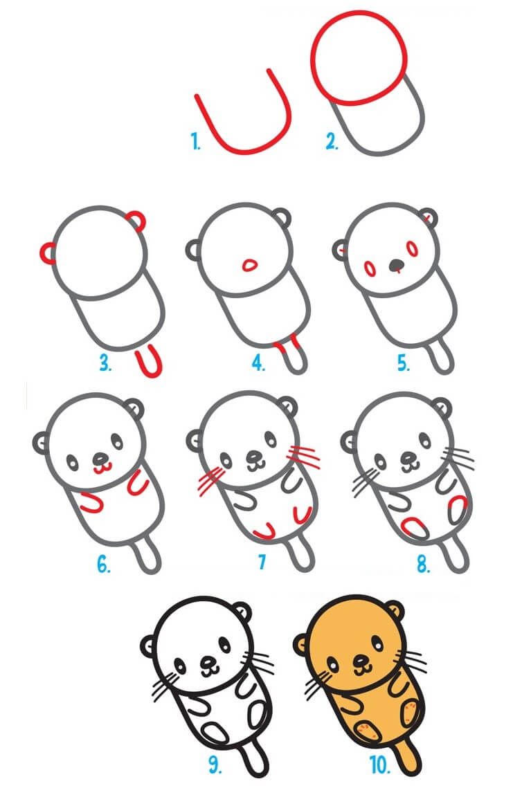 How to draw Otter idea (5)