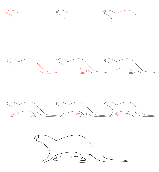 How to draw Otter simple (3)