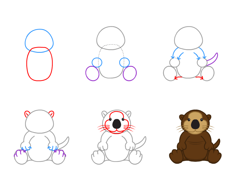 How to draw Otter simple (4)