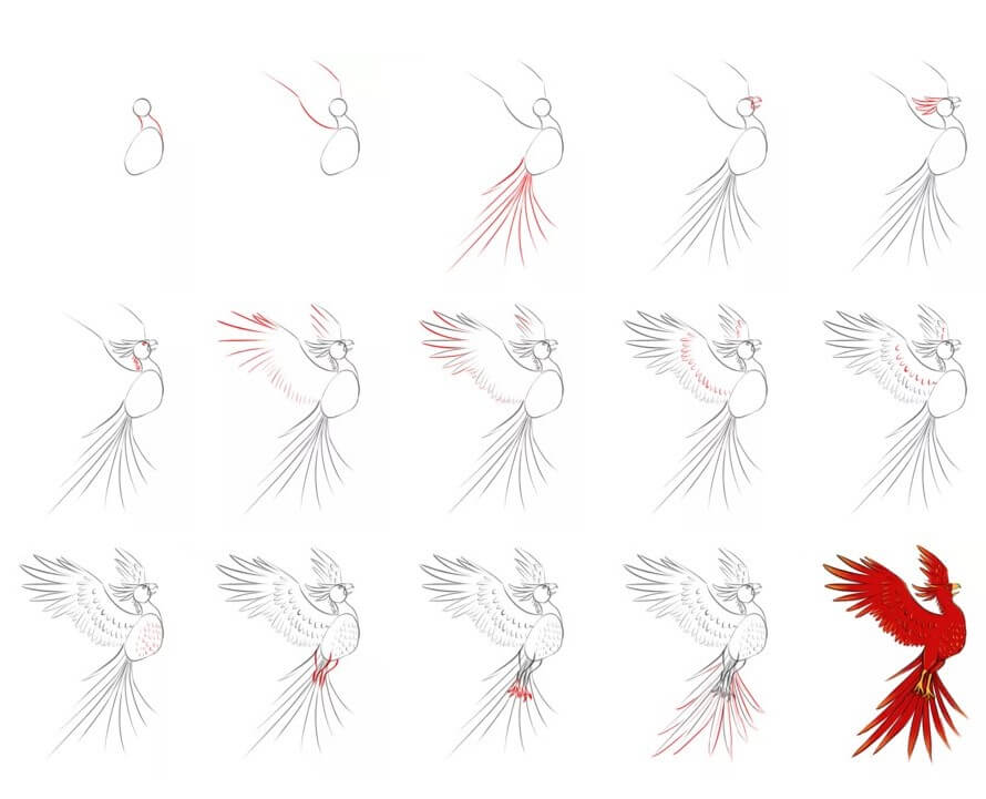 How to draw Phoenix idea (11)