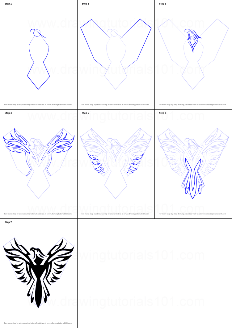 How to draw Phoenix simple (1)