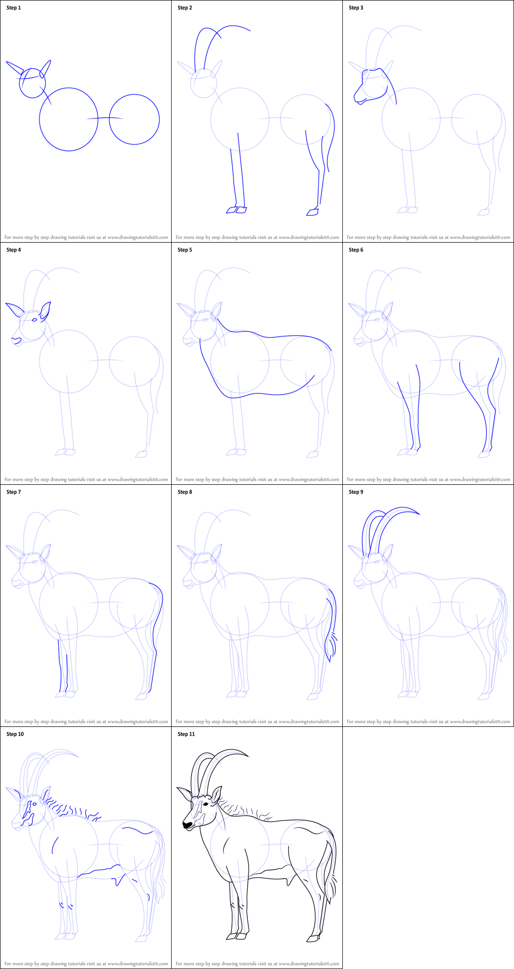 How to draw Simple Antelope (3)