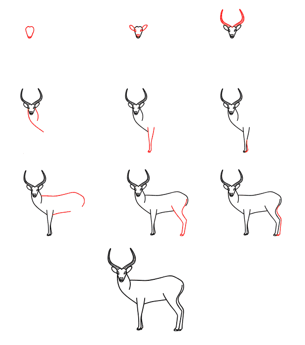 Simple Antelope (4) Drawing Ideas