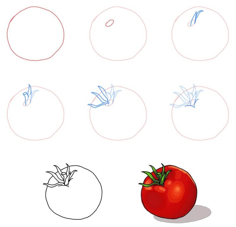 How to draw Tomato idea (13)