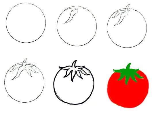 How to draw Tomato idea (5)