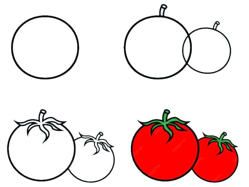 How to draw Tomato idea (9)