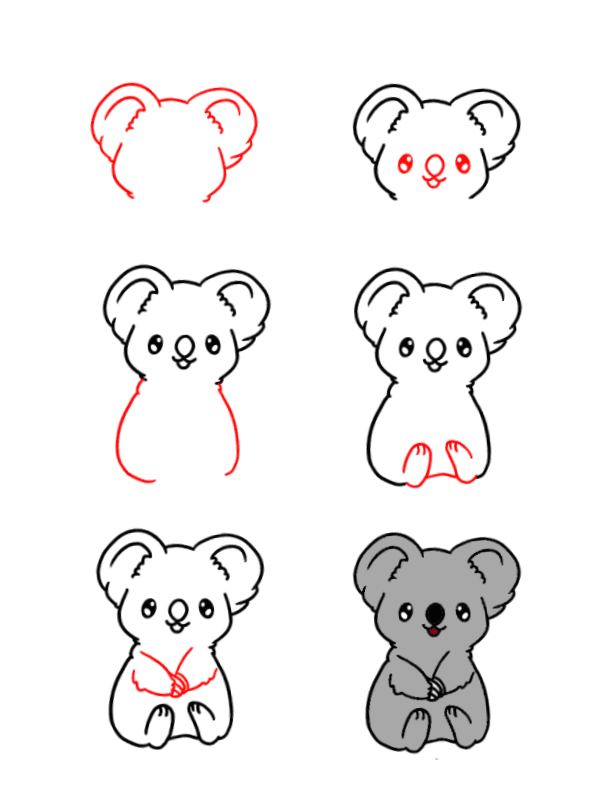 How to draw Baby koala