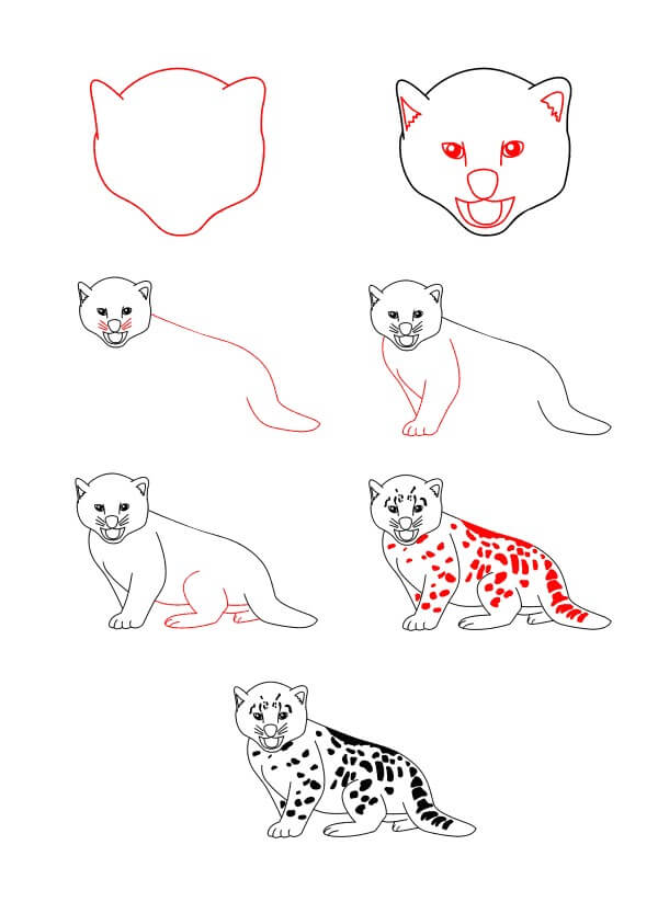 How to draw Baby Snow Leopard