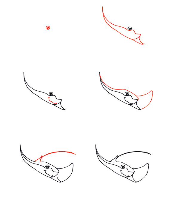 How to draw Cartoon Manta ray