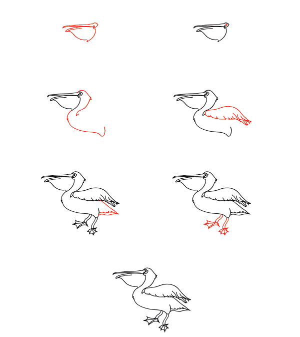 Cartoon pelican Drawing Ideas