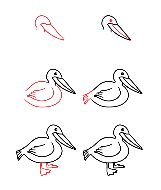 How to draw Cute pelican