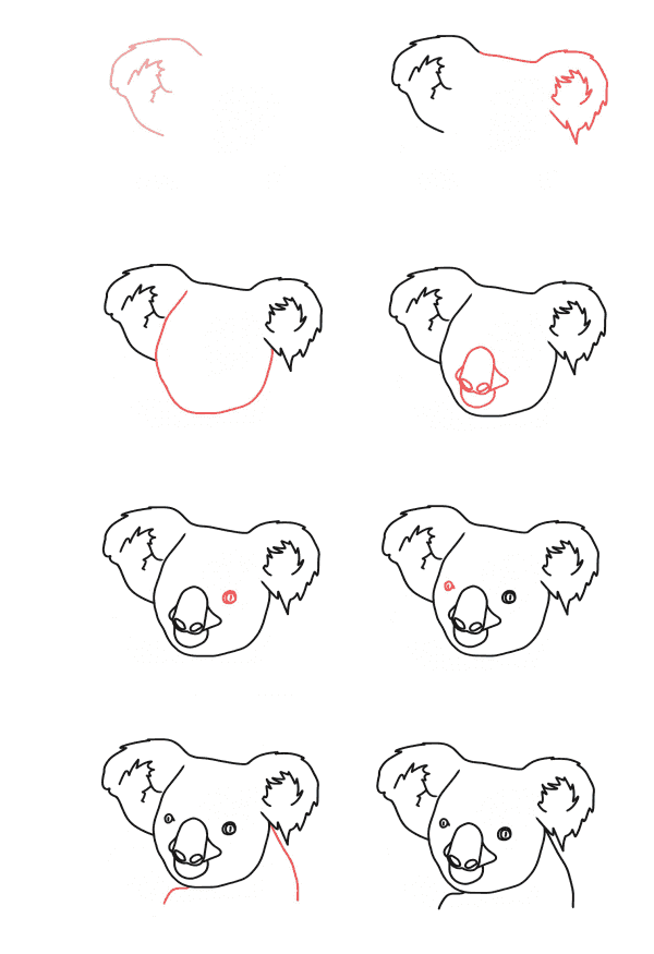 How to draw Koala head