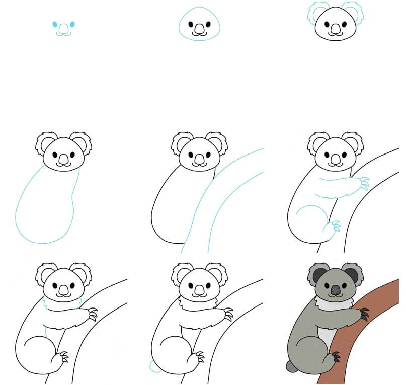 Koala Drawing Ideas