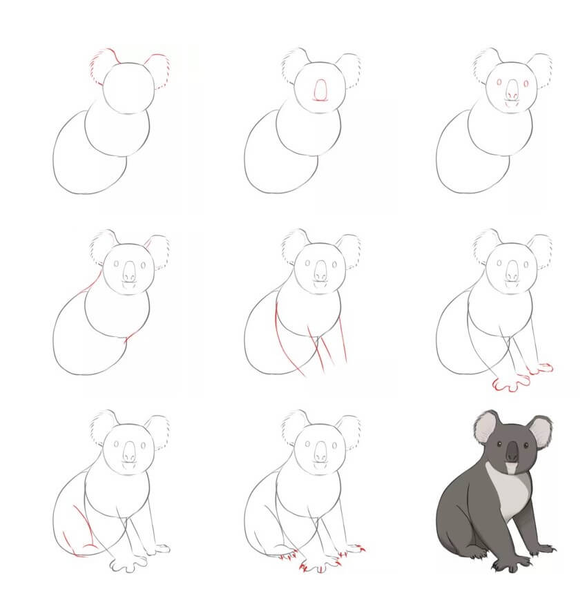 How to draw Koala idea (25)