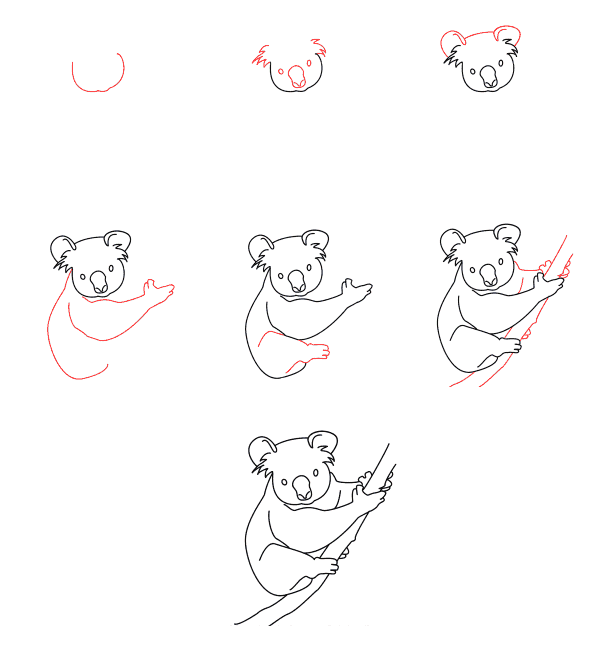 How to draw Koala simple