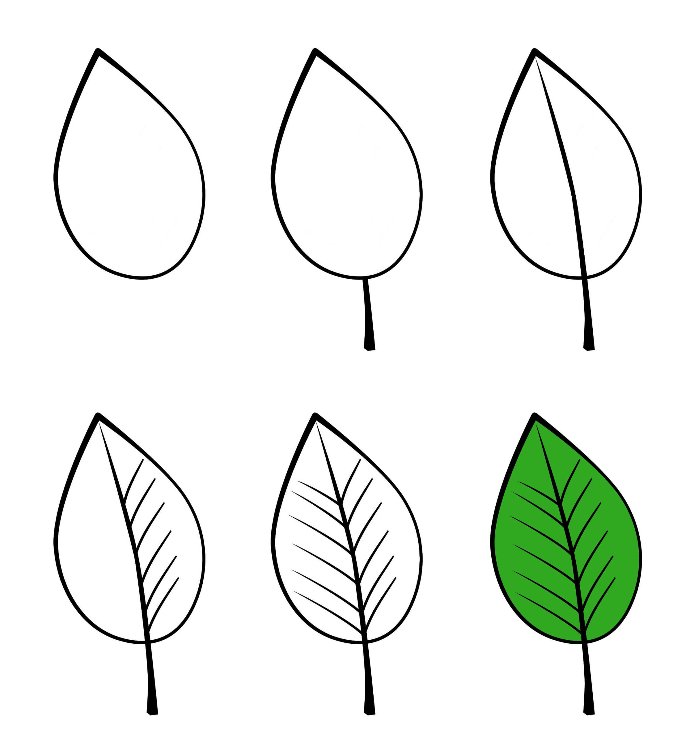 Leaf Drawing Ideas