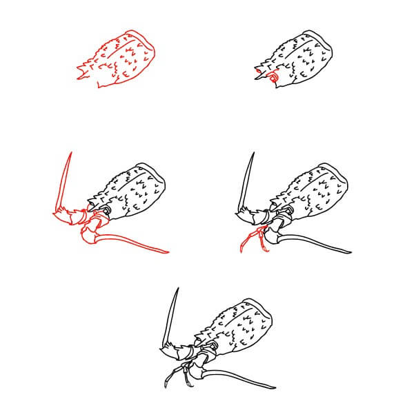 Lobster Face Drawing Ideas