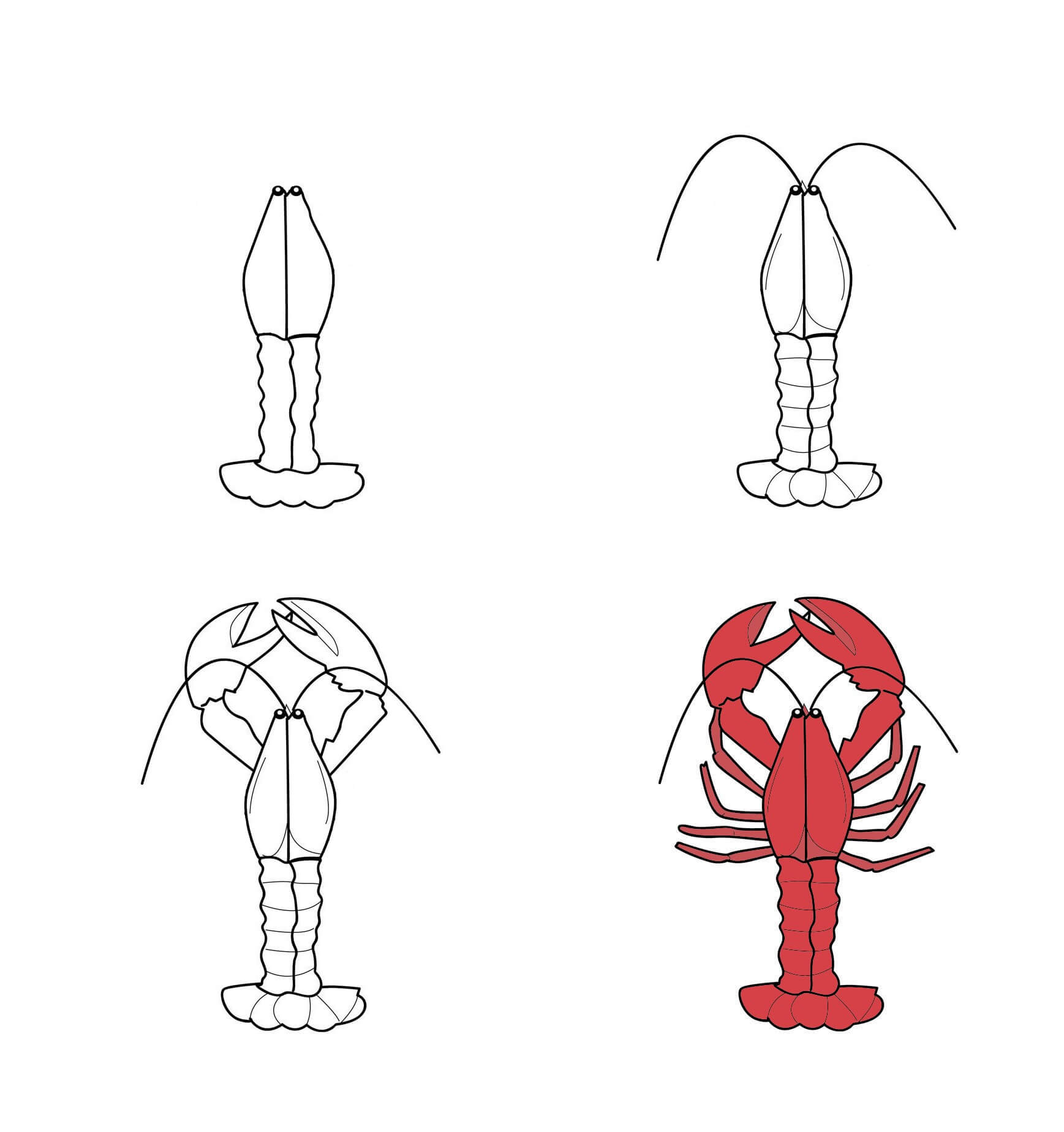 Lobster idea (11) Drawing Ideas