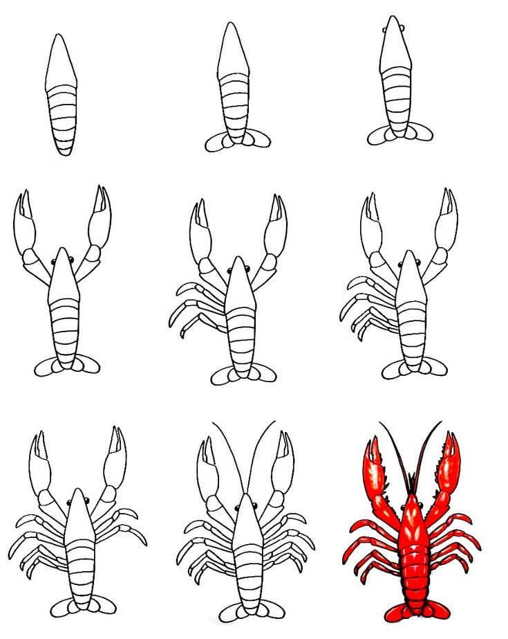 Lobster idea (12) Drawing Ideas