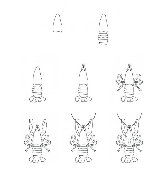 Lobster idea (13) Drawing Ideas