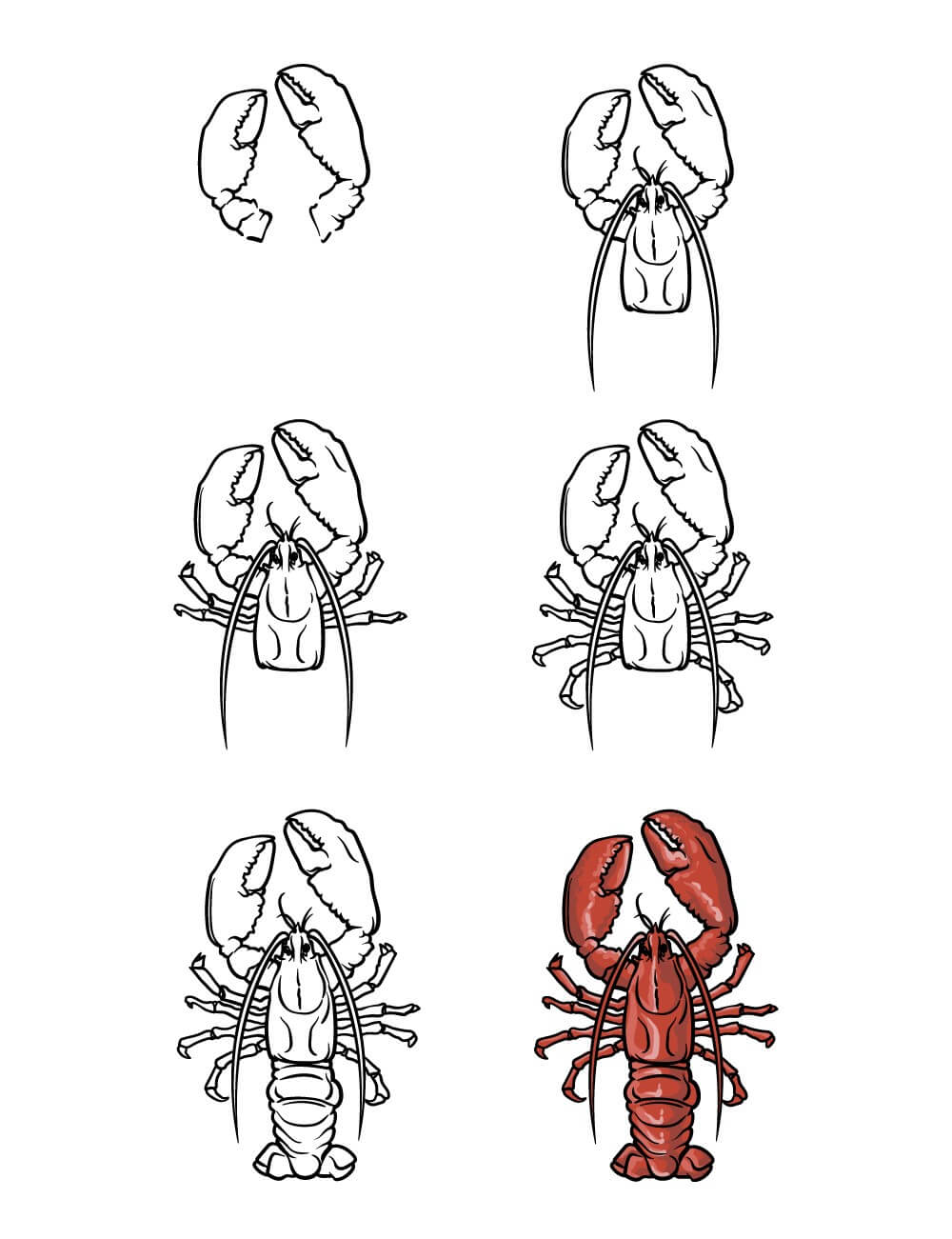 Lobster idea (17) Drawing Ideas