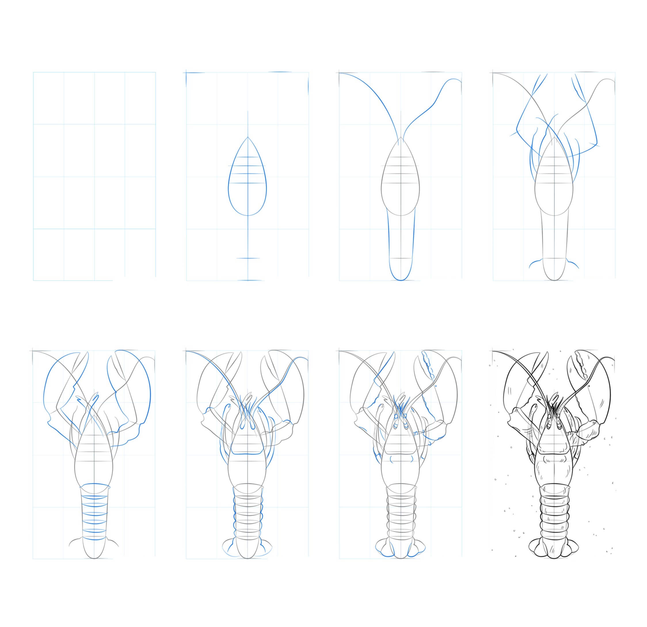 How to draw Lobster idea (6)