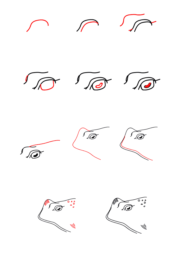 Manta ray head Drawing Ideas