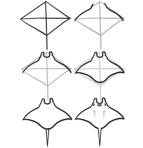 How to draw Manta ray idea (10)