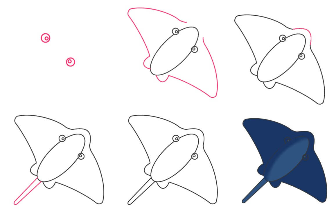 Manta ray idea (11) Drawing Ideas