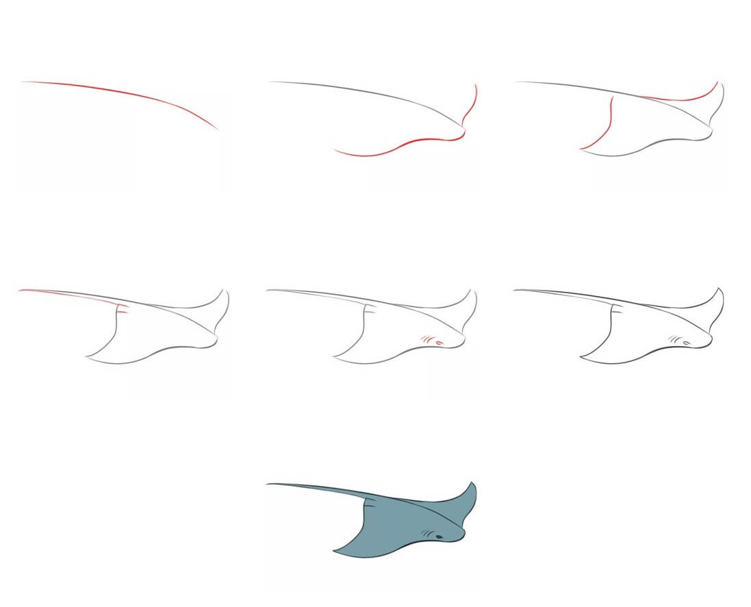 How to draw Manta ray idea (15)