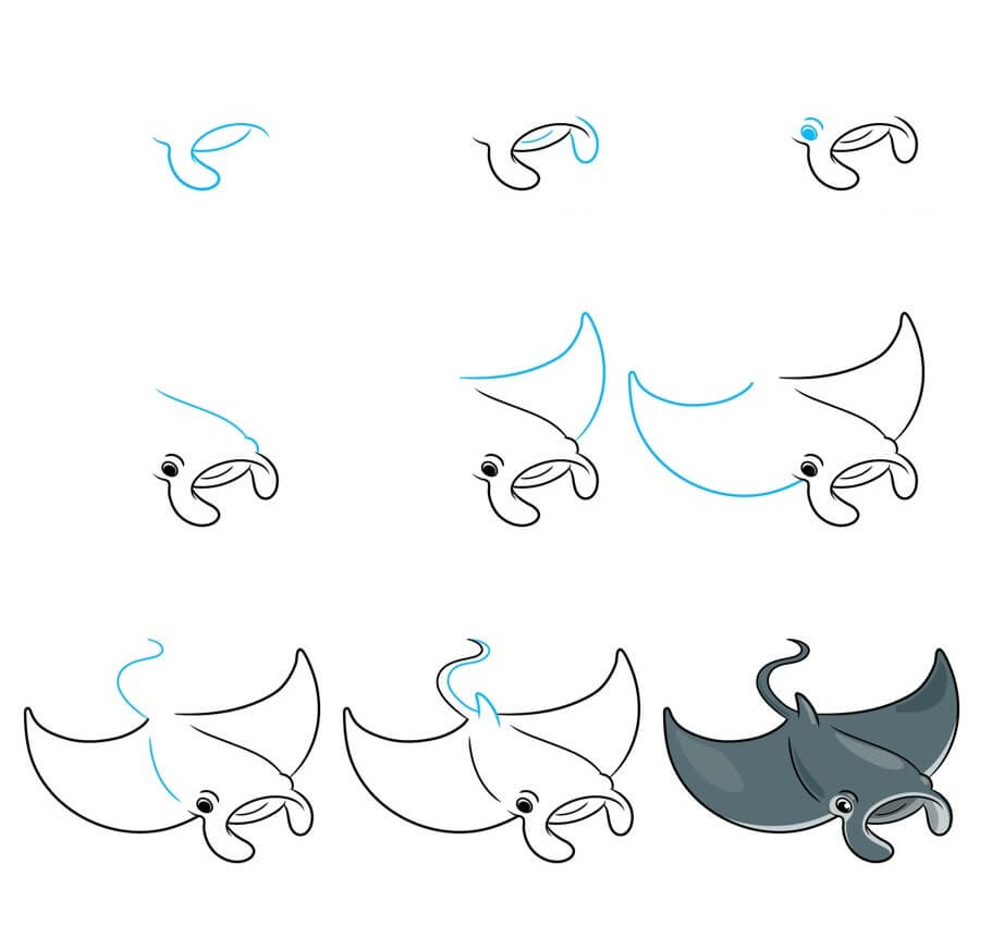 How to draw Manta ray idea (16)