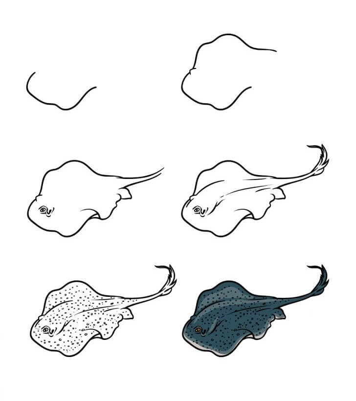 Manta ray idea (18) Drawing Ideas