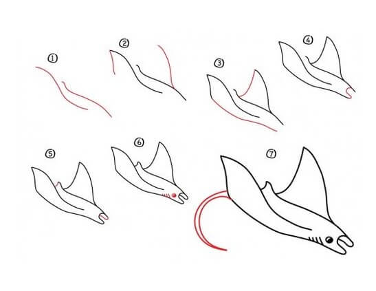 How to draw Manta ray idea (3)