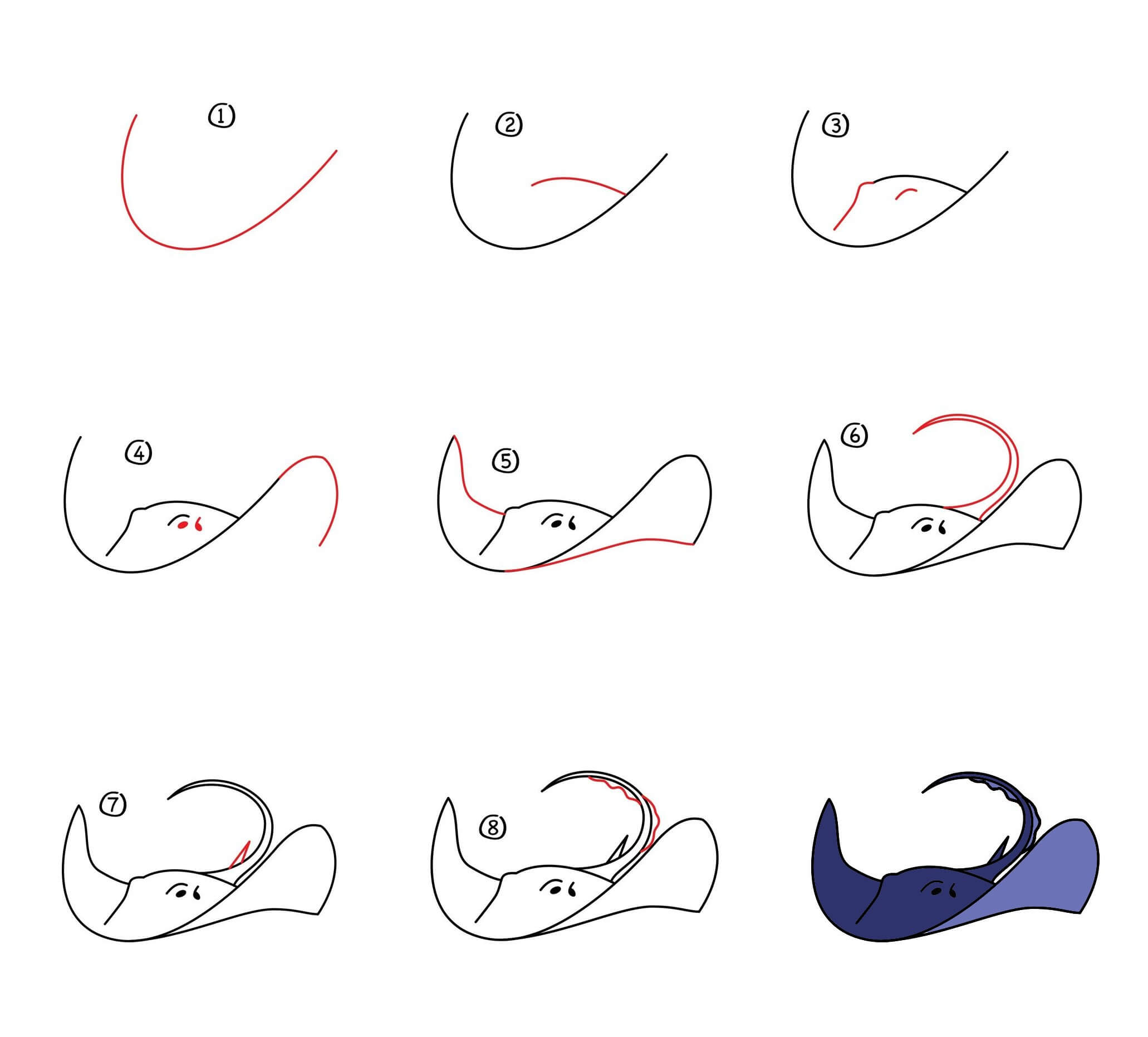 How to draw Manta ray idea (5)