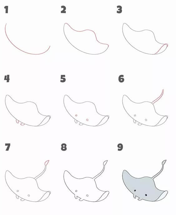 Manta ray idea (8) Drawing Ideas