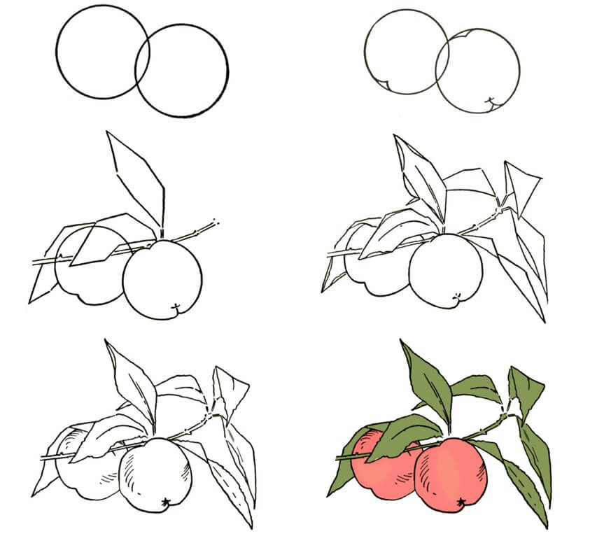 Peach idea (19) Drawing Ideas