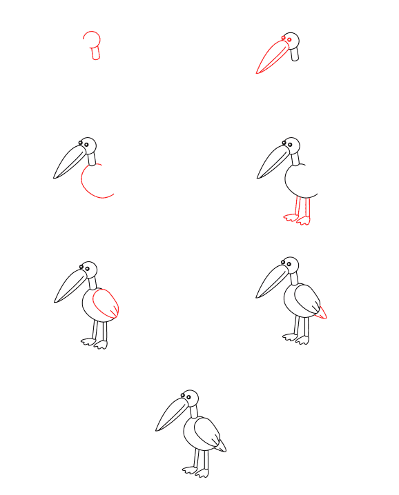 How to draw Pelican for kids