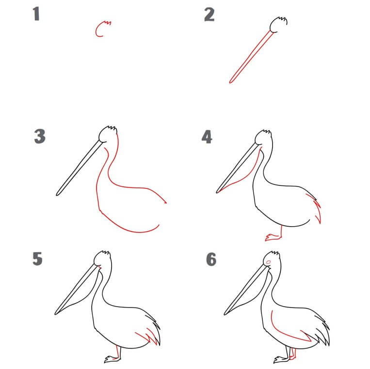 How to draw pelican idea (15)