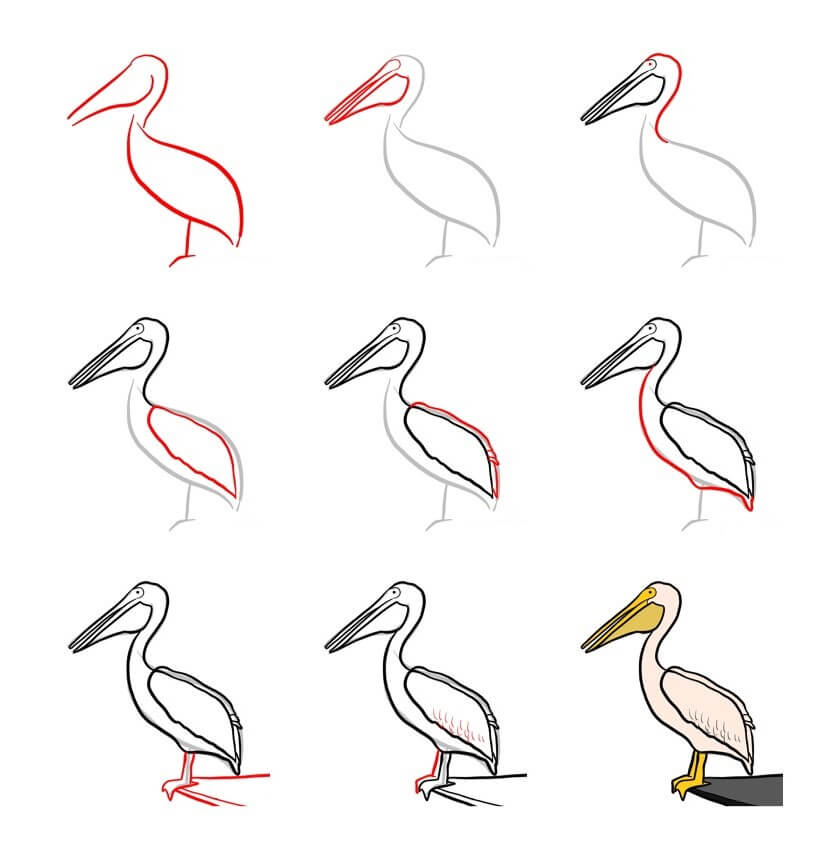 How to draw pelican idea (16)